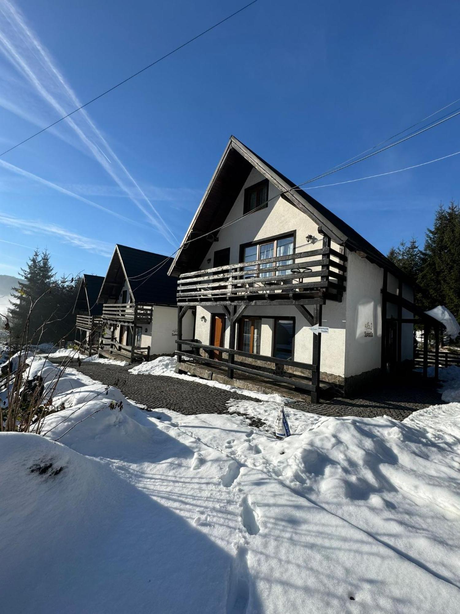 Vilele SuperSki Cavnic Exterior foto